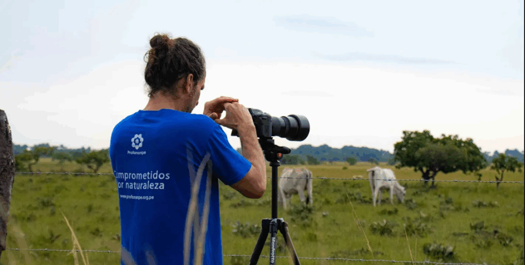 ESPECIALISTA EN COMUNICACIONES PORTADA