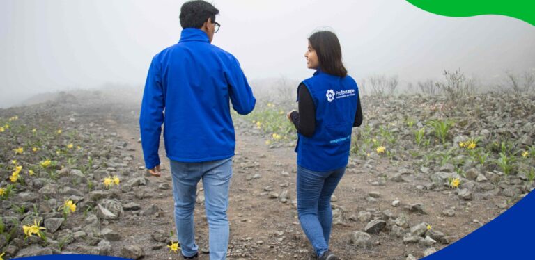 Portada Salvaguardas