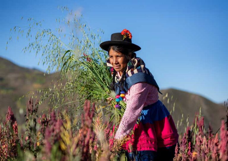Portada Emprendedores por Naturaleza 2026