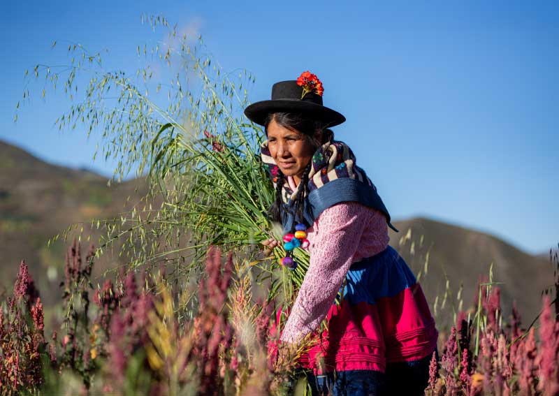 Portada Emprendedores por Naturaleza 2026